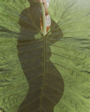 A cover of "photo study" cluster. The owner is abdussalampopsy. The cluster consists of 1 element.