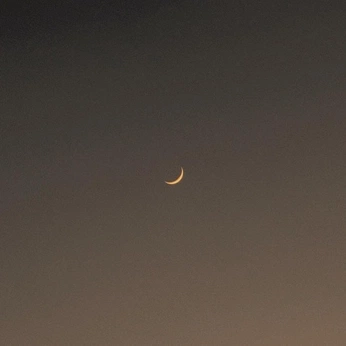 A cover of "Light" cluster. The owner is kenja. The cluster consists of 48 elements.