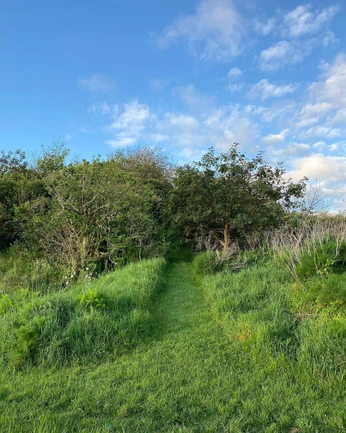 A cover of "main marks" cluster. The owner is farah.nasr27. The cluster consists of 3 elements.