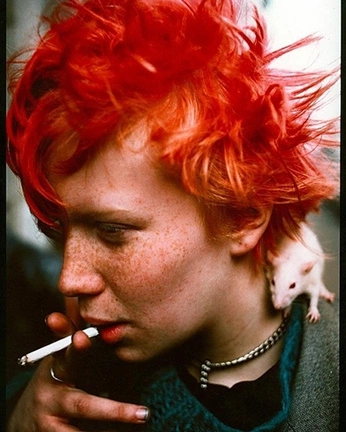 A cover of "BIKAHS Designs" cluster. The owner is kokobean. The cluster consists of 61 elements.