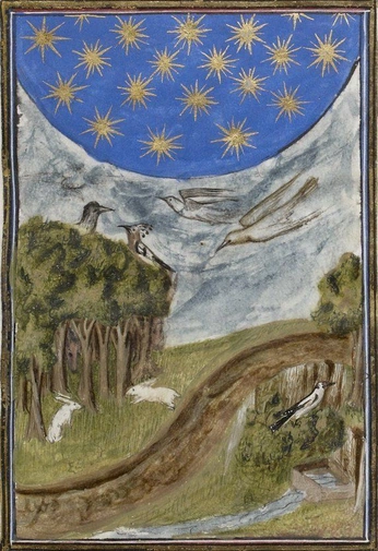 A cover of "Book of Enchantment" cluster. The owner is gjgreenlea. The cluster consists of 10 elements.