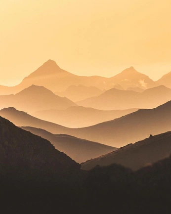 A cover of "Moodboard 1" cluster. The owner is cardicaro. The cluster consists of 57 elements.