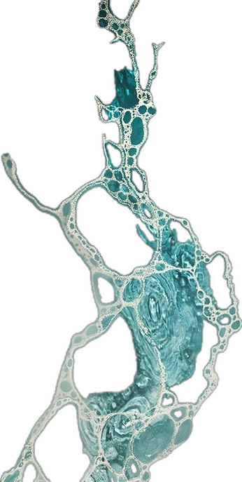 A cover of "Fluir" cluster. The owner is sofiacantuv. The cluster consists of 5 elements.