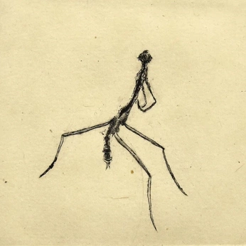 A cover of "Bleach drawing" cluster. The owner is matteooo. The cluster consists of 2 elements.