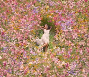 A cover of "Feminine beauty and tend" cluster. The owner is whyxy. The cluster consists of 1 element.