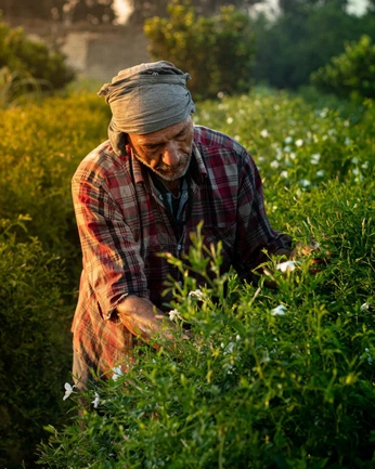 A cover of "photo inspo" cluster. The owner is lukesvisions. The cluster consists of 1 element.