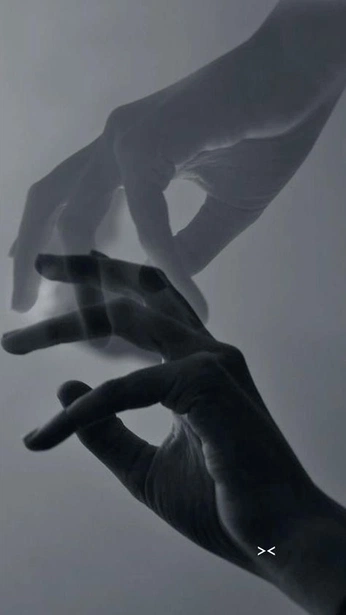 A cover of "photography" cluster. The owner is ldmila. The cluster consists of 3 elements.