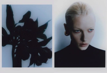 A cover of "franki" cluster. The owner is ameliahawesphoto. The cluster consists of 1 element.