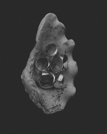 A cover of "ophelie" cluster. The owner is sgennaa. The cluster consists of 57 elements.