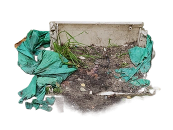 A cover of "collage" cluster. The owner is yuckqr. The cluster consists of 2 elements.