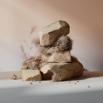 A cover of "Vanillatopia" cluster. The owner is williamcallan. The cluster consists of 39 elements.