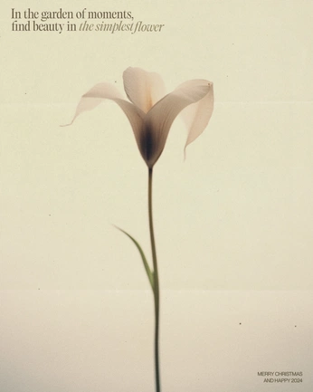 A cover of "Flores" cluster. The owner is brumadesa. The cluster consists of 1 element.