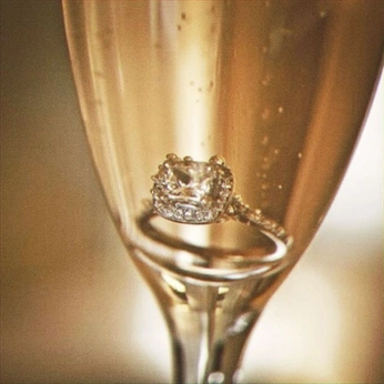 A cover of "Champagne House" cluster. The owner is joshvicencio. The cluster consists of 3 elements.