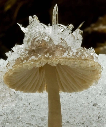 A cover of "photo_exploration" cluster. The owner is szadsky. The cluster consists of 68 elements.