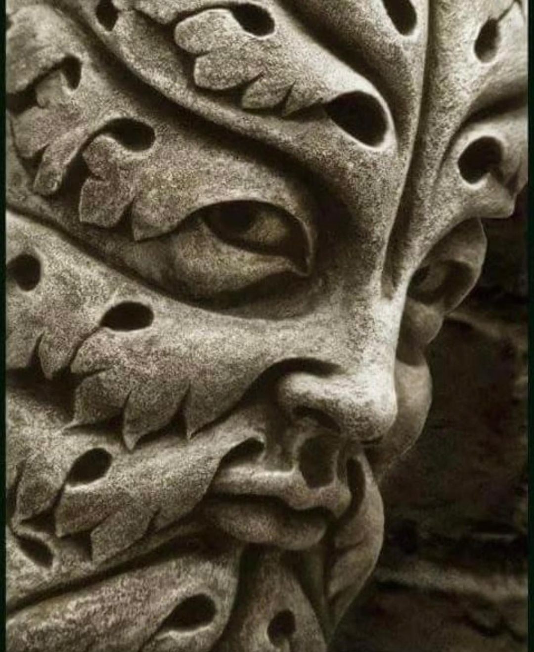 A detail of The Green Man, a Gothic stone sculpture from the 1200s at Bamberg Cathedral in Germany.