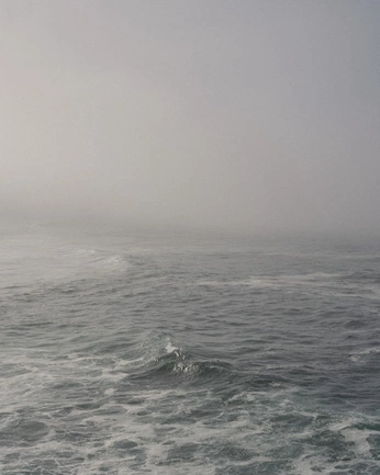 A cover of "Waves" cluster. The owner is samuelcotterall. The cluster consists of 252 elements.