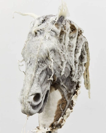 A cover of "beatingadeadhorse" cluster. The owner is aulus. The cluster consists of 3 elements.