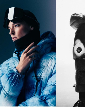 A cover of "Arcteryx" cluster. The owner is ryleecambria. The cluster consists of 24 elements.