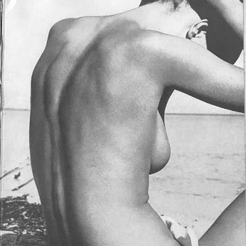 A cover of "female ref" cluster. The owner is poofypuffs. The cluster consists of 118 elements.