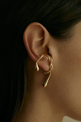 A cover of "Ear" cluster. The owner is csrosa. The cluster consists of 4 elements.