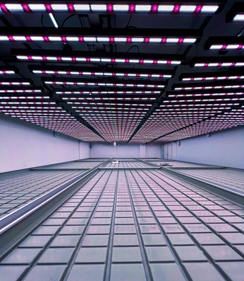 A cover of "Rooms" cluster. The owner is alvar.ooo. The cluster consists of 16 elements.