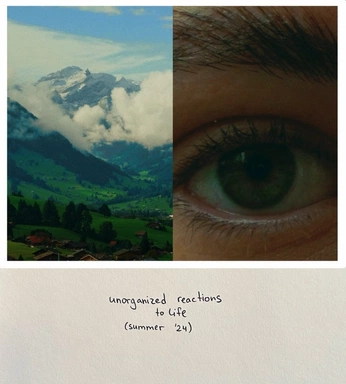 A cover of "edición" cluster. The owner is unanube. The cluster consists of 1 element.