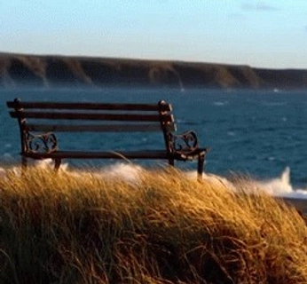 A cover of "Gifs For Boards" cluster. The owner is heelerz. The cluster consists of 12 elements.