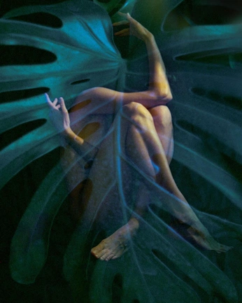 A cover of "The Weaver" cluster. The owner is thestorydoula. The cluster consists of 3 elements.