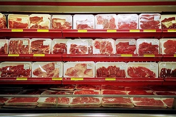 A cover of "SH5" cluster. The owner is gracegreenan. The cluster consists of 7 elements.