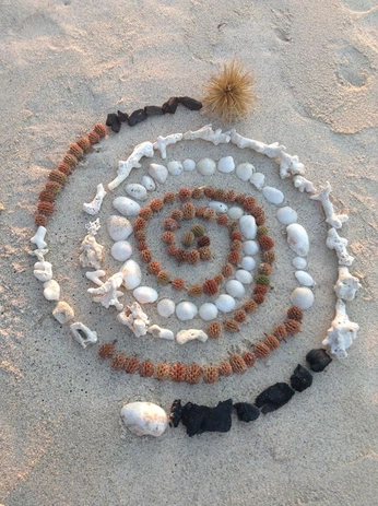 A cover of "art made from nature" cluster. The owner is zzmei. The cluster consists of 12 elements.