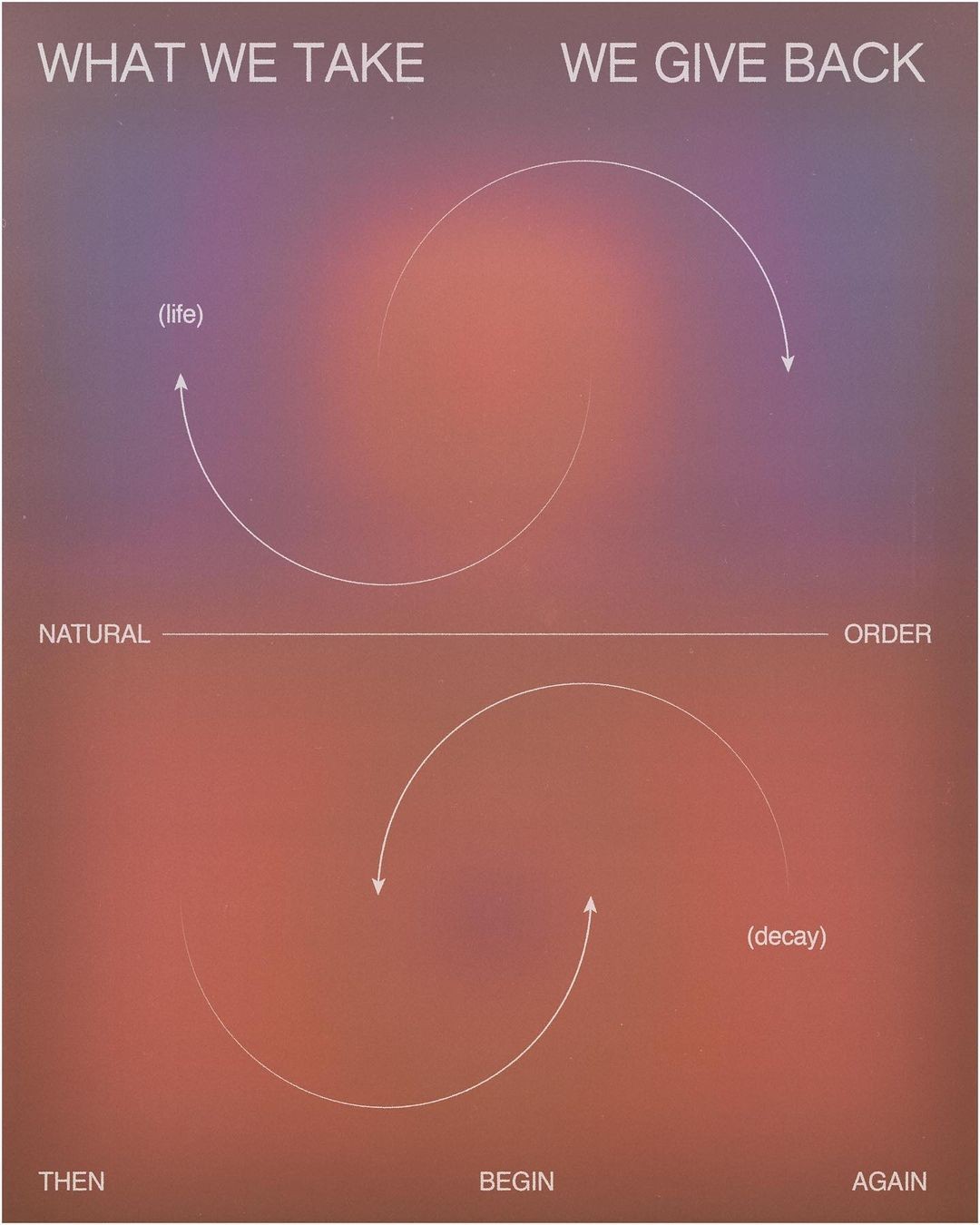 Coast Collective Product