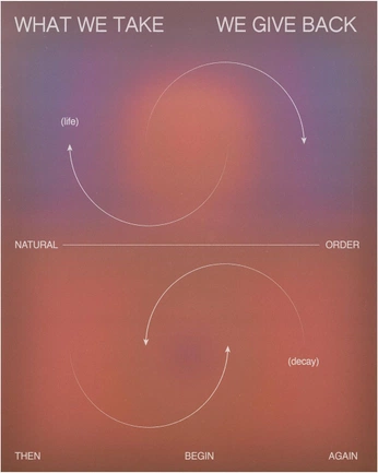 A cover of "Visual ref" cluster. The owner is rebecag. The cluster consists of 1 element.