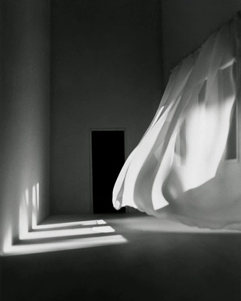 A cover of "Shadow play" cluster. The owner is anthonymenecola. The cluster consists of 3 elements.