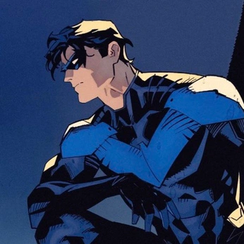 A cover of "DICK GRAYSON" cluster. The owner is rogerthatover. The cluster consists of 236 elements.