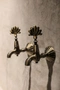 Cover of Faucet cluster