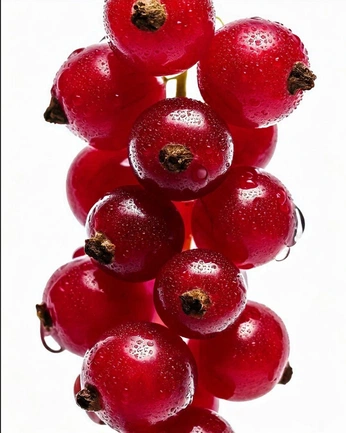 A cover of "Still Life" cluster. The owner is jonpeach. The cluster consists of 1 element.