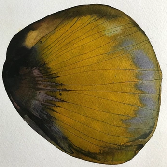 A cover of "yellow" cluster. The owner is youngyoungeruka. The cluster consists of 15 elements.