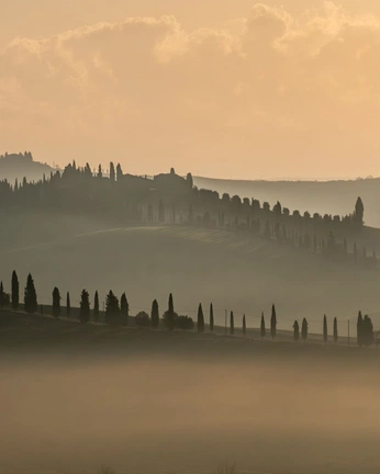 A cover of "TUSCANY" cluster. The owner is mandarina. The cluster consists of 29 elements.