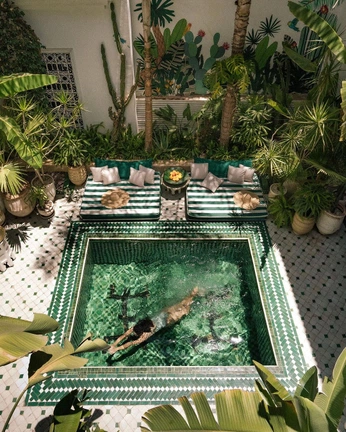 A cover of "Digital garden" cluster. The owner is natalykykla. The cluster consists of 1 element.