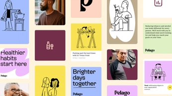 A cover of "Brand Identity" cluster. The owner is davybraun. The cluster consists of 10 elements.