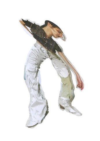 A cover of "collages" cluster. The owner is shredderr. The cluster consists of 16 elements.