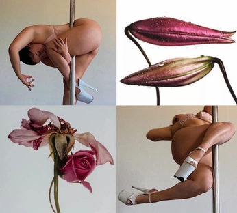 A cover of "Art of Poledance" cluster. The owner is tonez. The cluster consists of 11 elements.