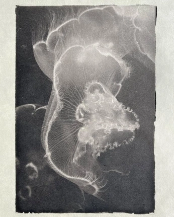 A cover of "art" cluster. The owner is tcv.k. The cluster consists of 2 elements.