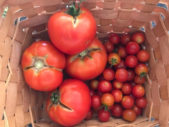 A cover of "Summer" cluster. The owner is emisue. The cluster consists of 12 elements.