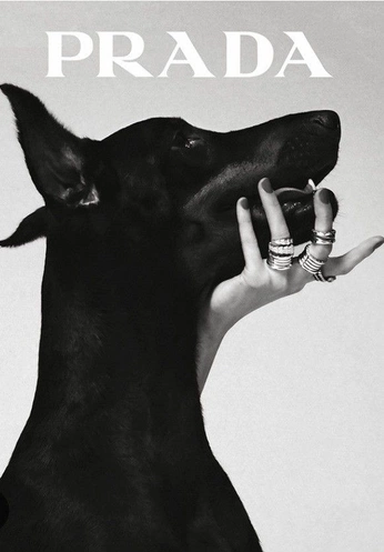 A cover of "Photography ideas" cluster. The owner is skyeb. The cluster consists of 2 elements.