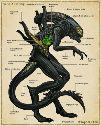 A cover of "Extraterrestrial" cluster. The owner is nightengine. The cluster consists of 18 elements.