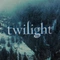 Cover of twilight ♡ cluster