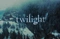 Cover of twilight✧ cluster