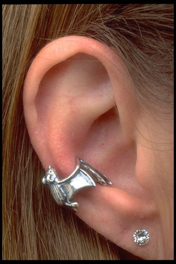 A cover of "cool piercings" cluster. The owner is zeroogyy. The cluster consists of 10 elements.