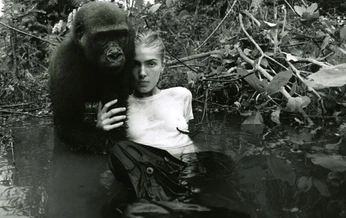 A cover of "durex" cluster. The owner is darwinraw. The cluster consists of 18 elements.